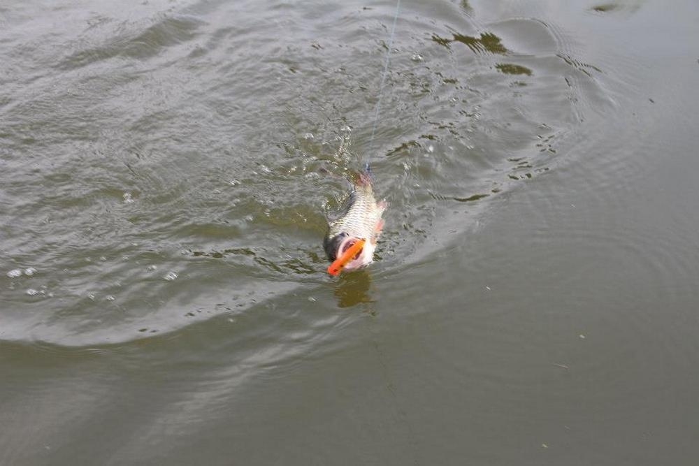 เอ จะเสียเปรียบที่สุดเพราะอยู่ท้ายเรือ ต้องอาศัยจังหวะเล็งเหลี่ยมดีๆ แล้วชิงตียัดเข้าหมายที่คาดว่าจะ