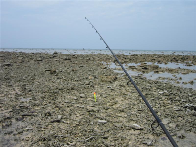 :cheer: แนวหินปาการัง ช่วงนํ้าแห้ง จะเป็นแนวหาดทอดยาว แต่หาดที่ว่าเนี้ยมันเป็นหาดหินนะ