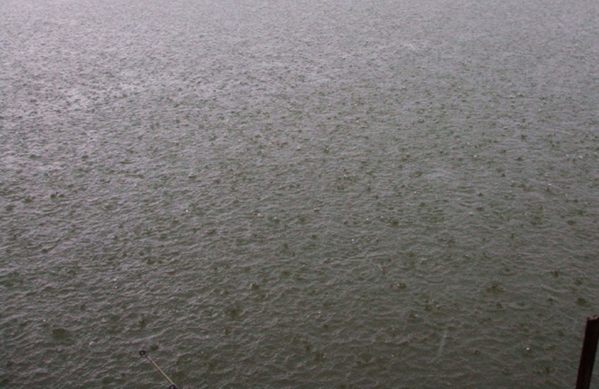 ฝนมาแย่แล้ว                  บ่อนี้เจอฝนไม่ได้ซะด้วย  ฝนมาปลาหิว :laughing:
