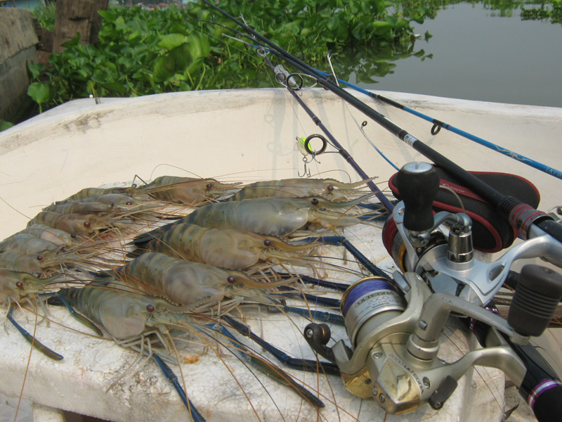 ตามหาน้องกุ้ง เจ้าพระยา (หัดตก) ตามใบสั่งผบ. และพวกพ้อง