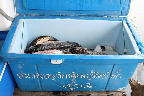 ขอลาด้วยภาพนี้ละกันนะครับ   

 [b]@++++ ความสุขเล็กๆ น้อย ๆ ของหัวแหลมทีม (ณ.เขื่อนเขาแหลม)++++@[/