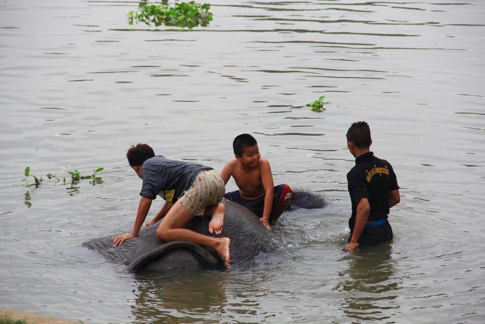 วันนี้เอาเรือมาลงที่หลังปางช้าง  ซึ่งเป็นที่ขึ้นลง ของช้างเพื่ออาบน้ำ  