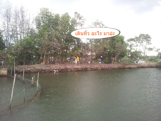 เสียดายไม่ได้ถ่าย ตอนอัดปลา อยู่คนล่ะฝั่งกัน  :frown: :frown: :frown: :frown: