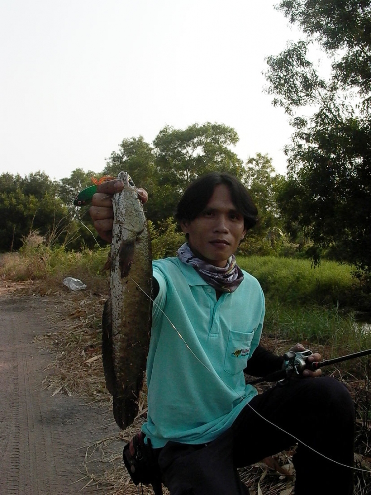 [q][b]                                                             แจมนะครับท่าน[/b][/q]




จั