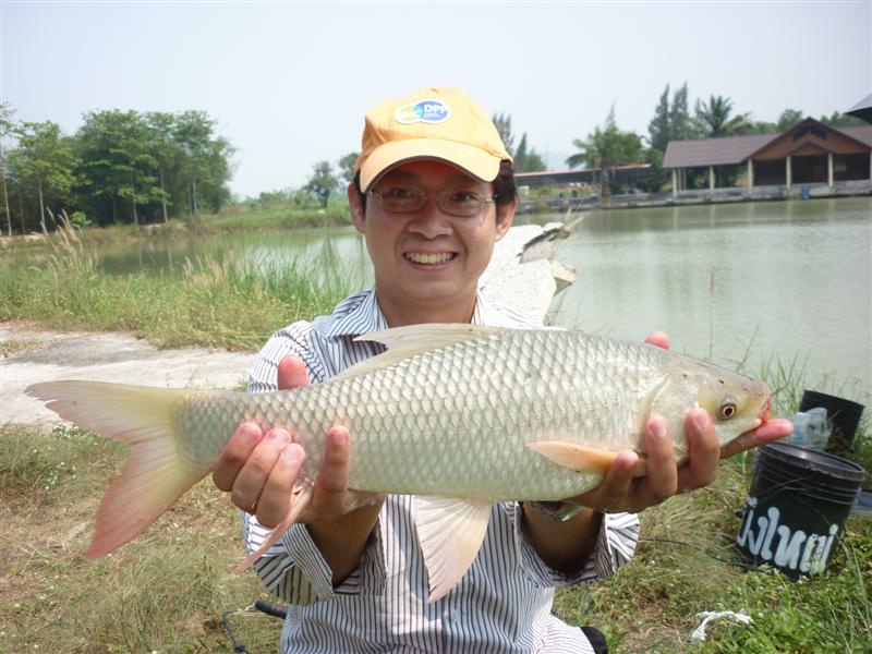                เป็นอีกสายพันธุ์ในทริปนี้ครับ :smile: