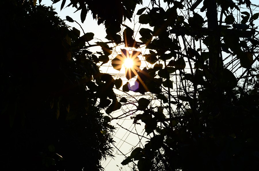 ใกล้มืดแล้ว จะได้เวลากลับบ้านแล้ว :cheer: