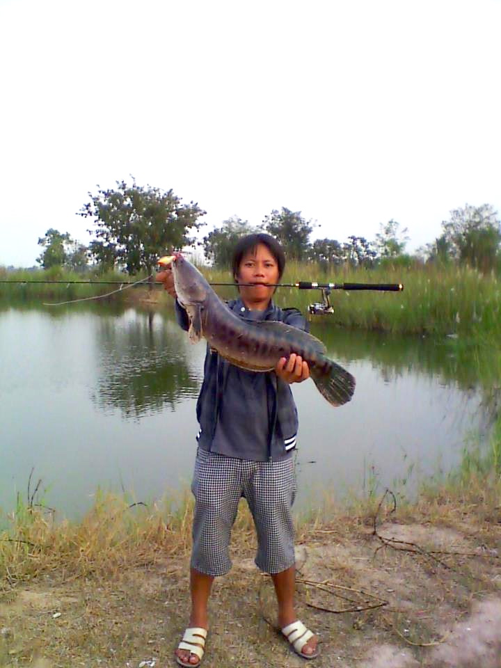 วันว่างๆแถวบ้าน