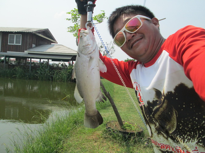 ครา้วนี้ผมได้บ้างแล้วครับบบบบบบบบบบบบบบบคิคิคิคิ :smile: :smile: :smile:
