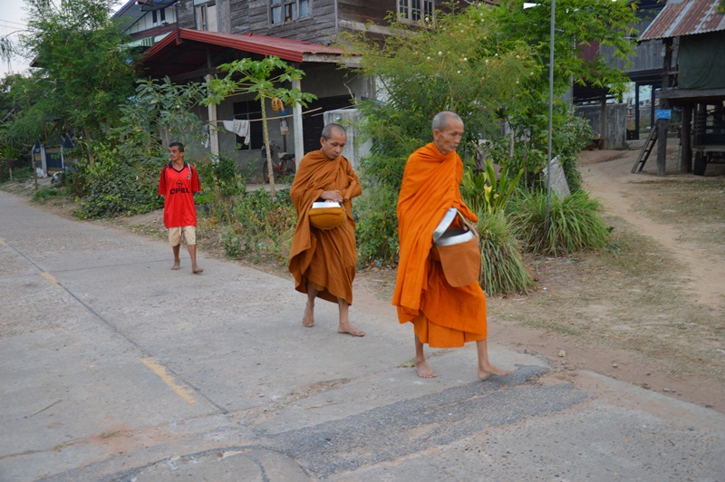 สัญญาปลาข่อน(ที่บ้านเกิด)