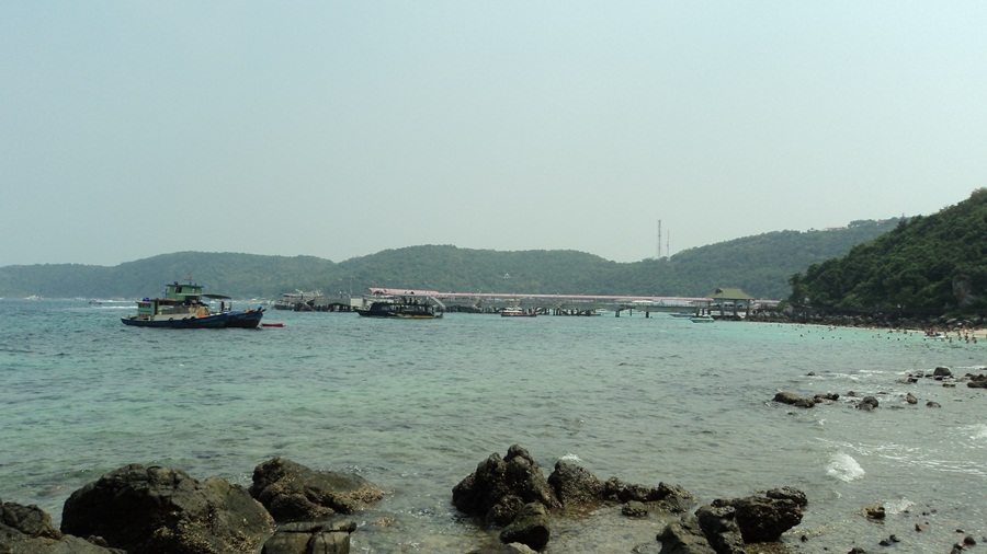  :rose: :rose: :rose: :rose: :rose: เดินผ่าน ++ หาดสังวาลย์ ++ ทางด้านซ้ายของท่าเรือ จะเป็นแหลมและกอ