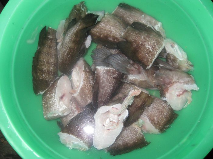 แกงเผ็ดน้ำมันปลากะรังป๊อดครับผม..