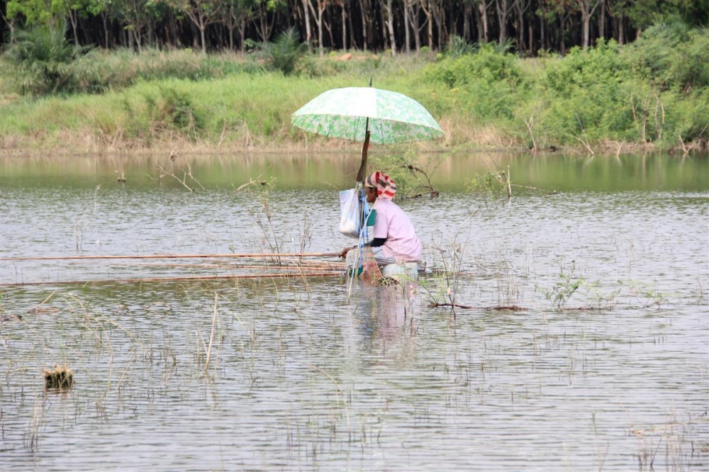 แบบนี้ก็ดีนะ ชิว ๆ ดี 



สวัสดีครับน้า น้าเหน่งอุดรฯ  ขอบคุณครับที่แว่ะเยี่ยมชม..

[q][i]อ้าง