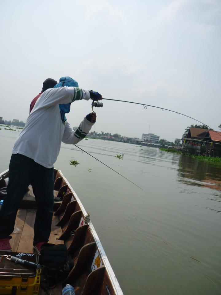  [b]ล่องเรือมาหาสิ่งที่ต้องการ ภายใต้ผืนน้ำเจ้าพระยาครับ ผ่านหน้าประตูน้ำมีฝูงปลากระสูบไล่กัดลูกปลาอ