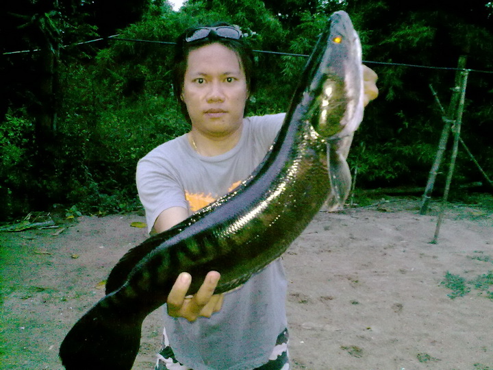 ตัวไม่ใหญ่แต่ได่มัน