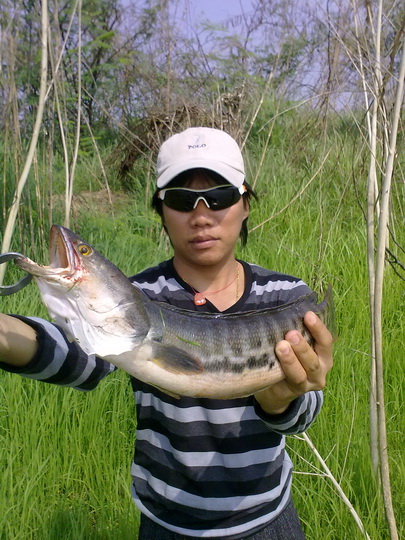 ตัวเล็กแต่ได่มัน