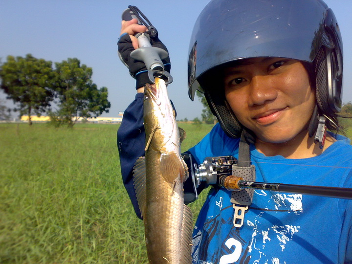 จบด้วยภาพนี้นะครับเดียววันหน้าไปหารูปสวยๆมาให้ดูกันใหม่