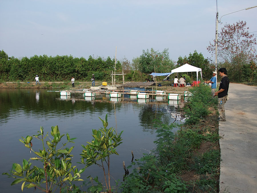 [b]บรรยากาศ สบายๆยามเย็นครับ หาตัวกันไปเรื่อยๆ ปลาก็กัดเรื่อยเช่นกันครับ อิอิ[/b]
 :umh: :umh: :umh