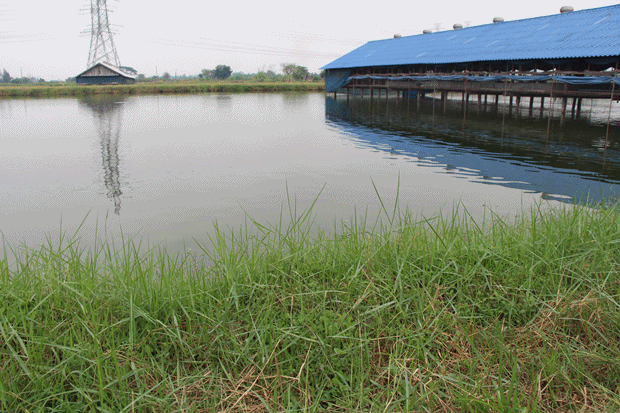                                                            ภาพสุดท้าย สภาพหมาย จบทริปแล้วครับ  
   