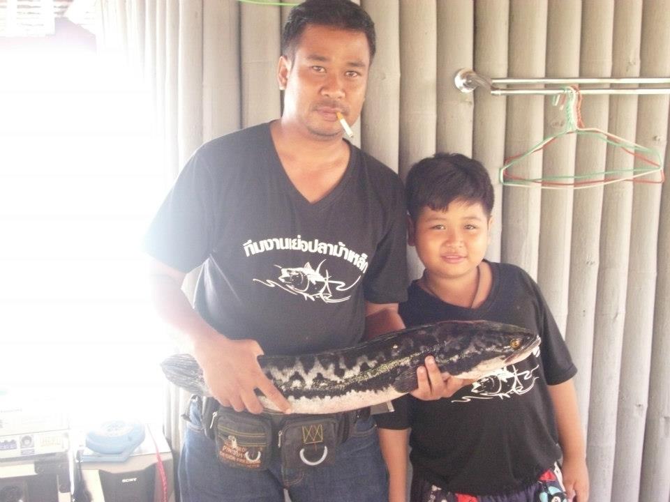 อันนี้ปลายืมของพ่อลูก :smile: :smile: :smile: :smile: