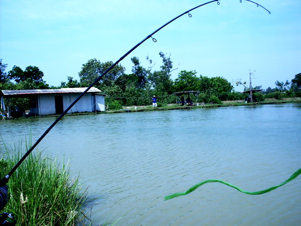 เอาอีกครับ