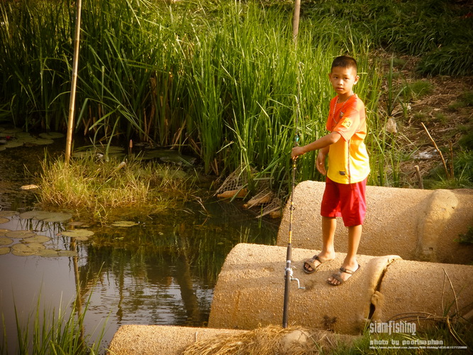 ขอเน้นๆใกล้ๆให้แกสักภาพครับ :smile: :smile: :smile:
