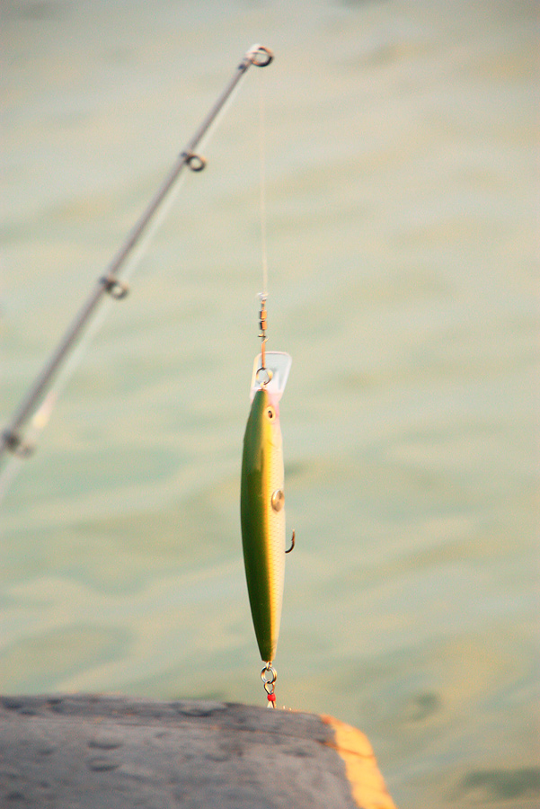 RAPALA Clackin MINNOW 11 ตัวนี้ เกือบทำสำเร็จ ติจิบชะโด ข้างเกาะ กำลังจะถ่ายรูปดันหลุดซะงั้น   :cry: