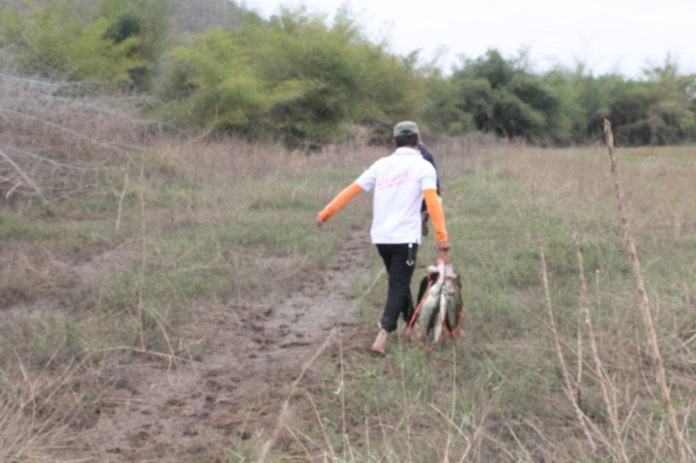 นัย101-7ย่านน้ำยังไม่ได้เอาปลามาโชว์ช่วงครึ่งวันเช้า