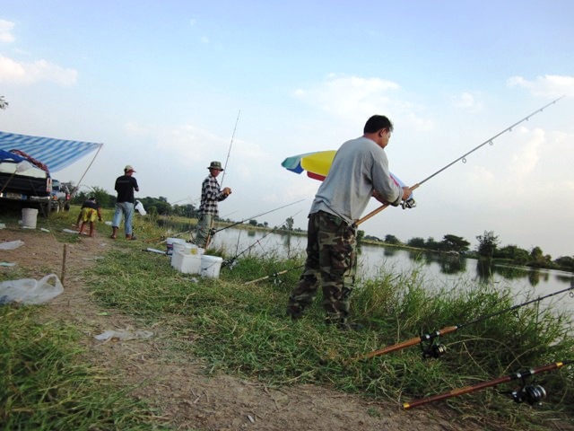 เริ่มเก็บแล้ว 