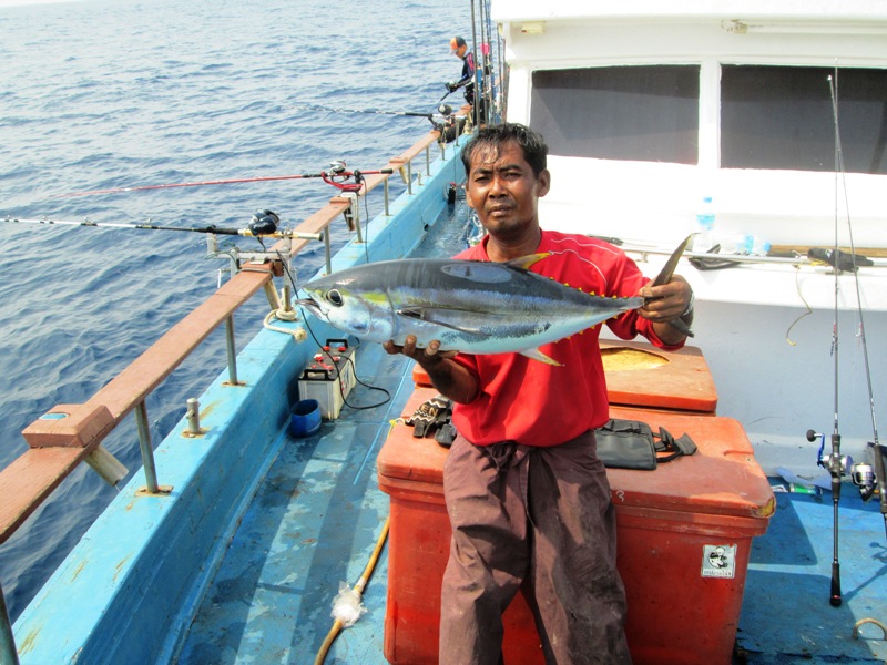 yellow fin tuna  :grin: