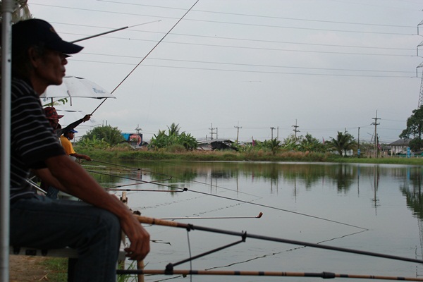 สำหรับลุงลภ รูปนี้คงไม่ต้องบรรยาย ขอตั้งชื่อรูปว่า "รอปลาใหญ่".....เอ่อ