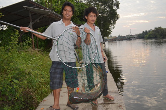     พวกเรา ทุ่นลอยทีม  ขอลาด้วยภาพนี้นะครับ
 ขอขอบคุณsiamfishing บ่อเงาน้ำ น้าๆป้าๆที่ติดตามชมและที