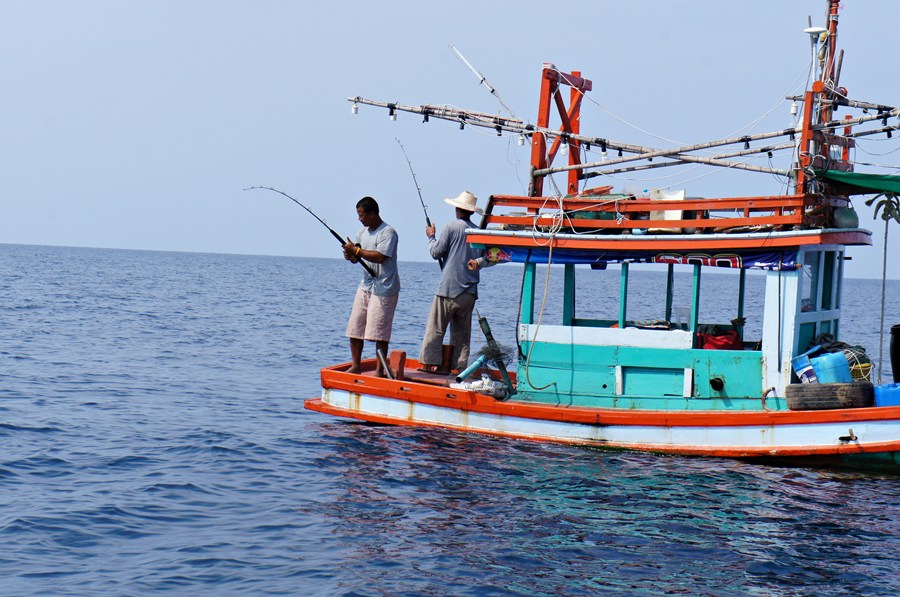 พอเรือลอยลำผ่าน  ลำข้างๆที่ใช้เหยื่อเป็นก็อัดกันเพลิน