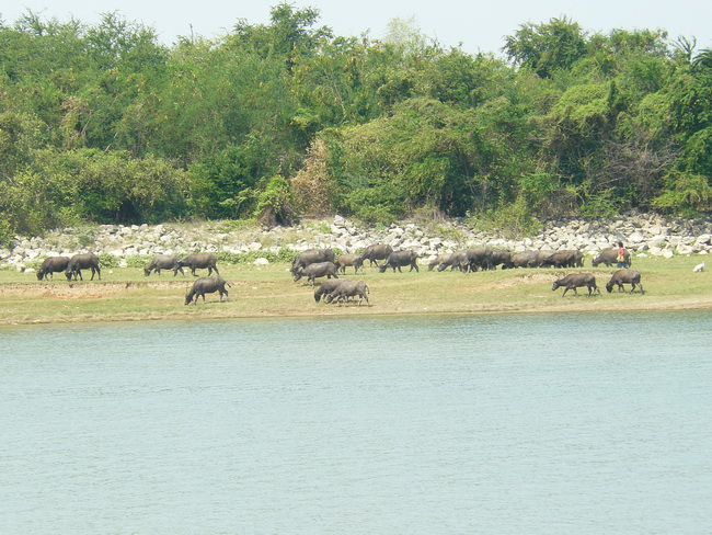 และอีกหนึ่งธรรมชาติที่จะหาดูได้ยากขึ้นทุกวัน :ohh: :ohh: :grin: :grin: :grin: :grin: