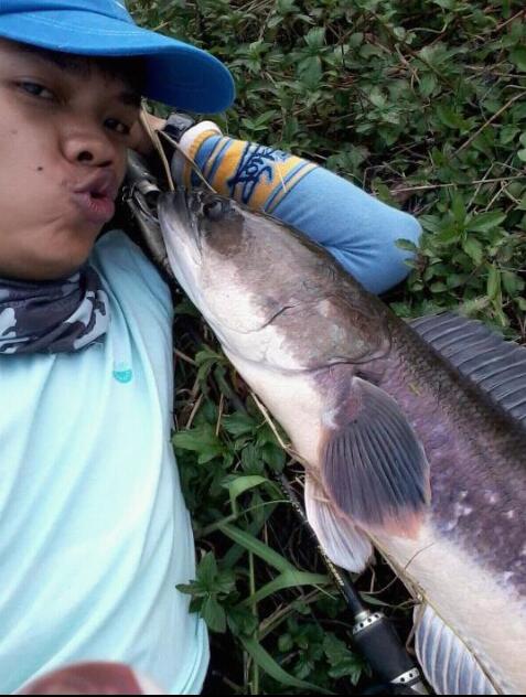 หมานมาก ในวันพระ