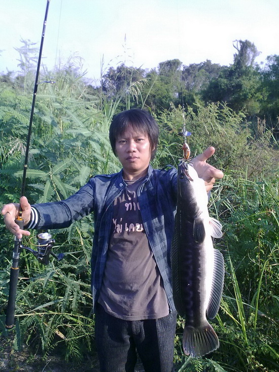 ขนาดไม่ใหญ่แต่ก็ได่มัน