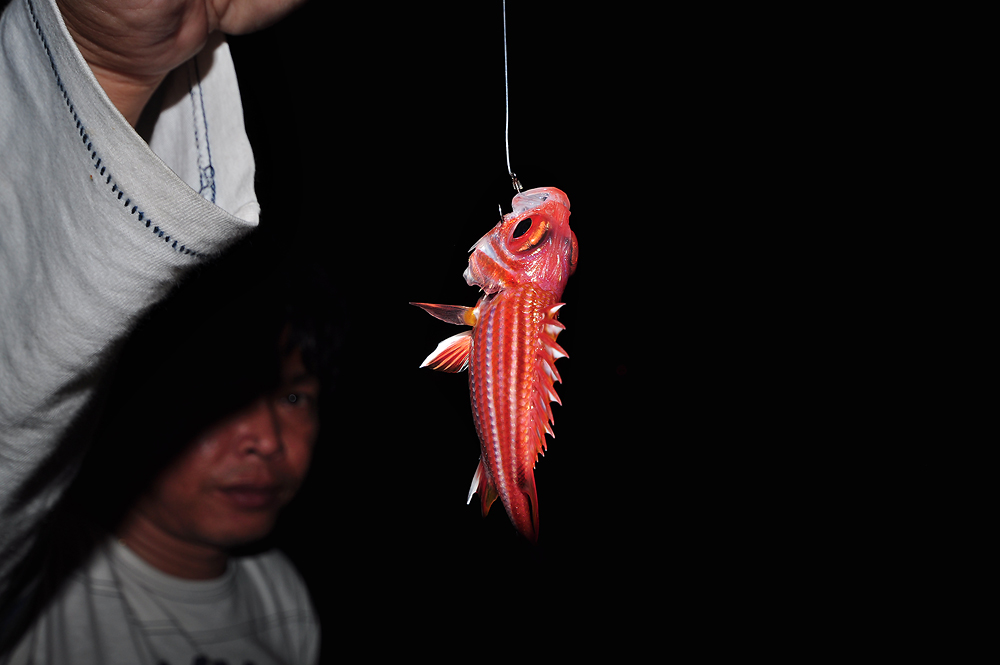 โดนเหมือนกันวุ๊ย ส้มปี๊ดเลยปลาไรหว่าไม่เคยตกไม่รู้จัก  :grin: :grin: :grin: