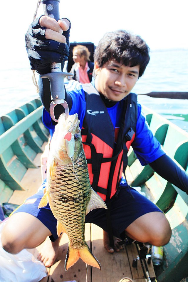  [b]อ้าวๆ    เริ่มโดนอยู่คนเดียวแล้ว[/b]







 [b]ผมทำหลุดหลายตัวมาก     มันบ่น   ใหญ่เลย[