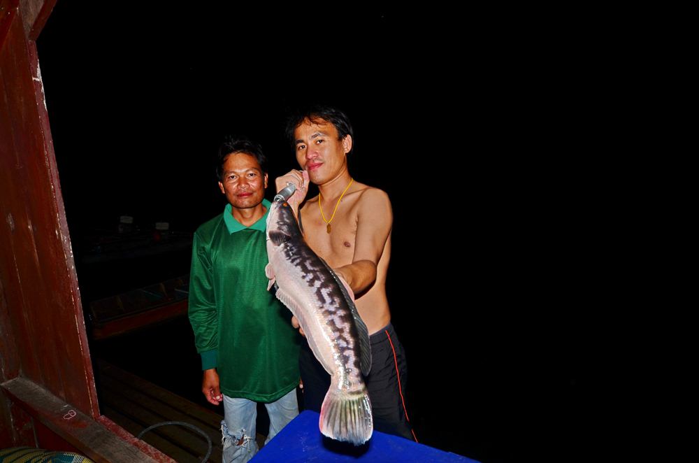 พรานทร อีนางจิน บอก ไต๋คู่บารมีผม พายเรือเงียบ ไม่พูดมาก ไปไหนก็ไปด้วยกัน ส่ง แก้วก็กรึ้บบบบบบๆๆ หมด