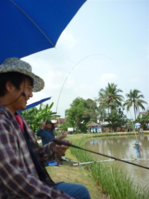                  เสียงฟิบ....แว่ว แว่ว มา หันไปมอง อ้า......... :cheer: