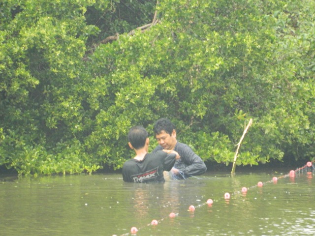  :love: :rose: