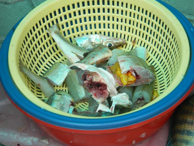 เตรียมแกงป่าปลาเห็ดโคล่น :laughing: :laughing: :laughing: