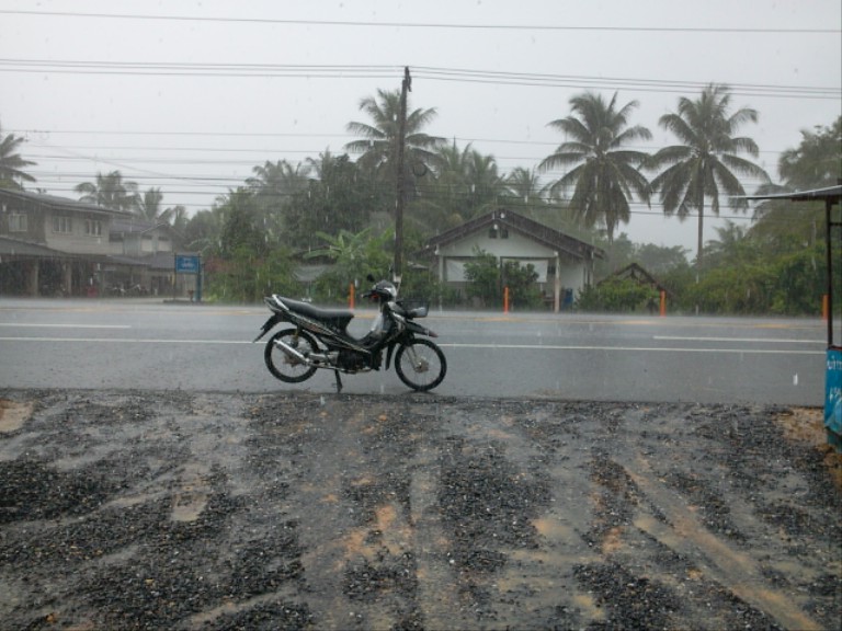 ฝนตกแล้วจร้า ลากันรูปนี้นะครับ 
ขอบคุณน้าๆทุกท่านมากนะครับที่เข้าเยี่ยมชมครับ :grin: :cheer: :cheer