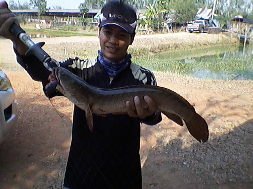 เอาชัดๆ