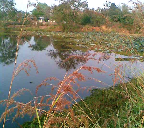 :rose: :rose: :rose: :rose: :rose: :rose: :rose: :rose:หมายเเรก คนเเถวนั้นเค้าเรียกว่า บุ่งคำพู สภา