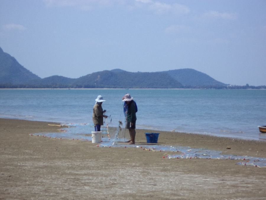 เห็นเค้าทำอะไรกันที่ชายหาด ลองลงเดินตามไปดูครับ