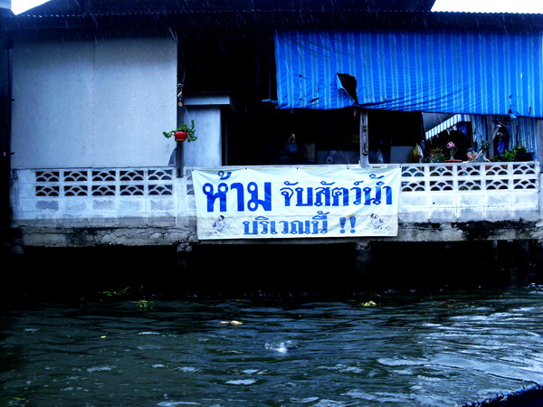 เงิบ เงิบ 