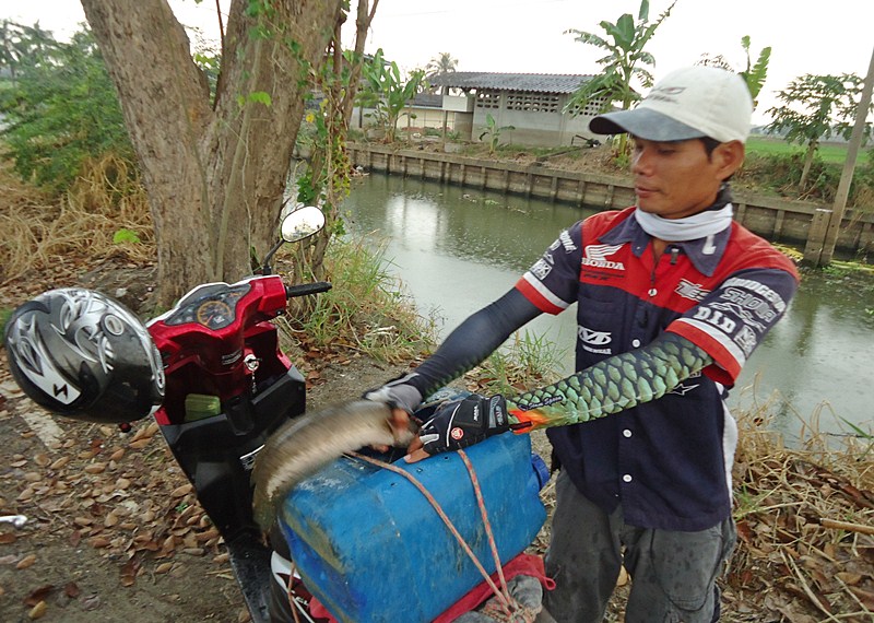 จับ..ใส่ถัง    :laughing:

แล้วฝนก็ตกลงมา ซะงั้น !!!    :grin: