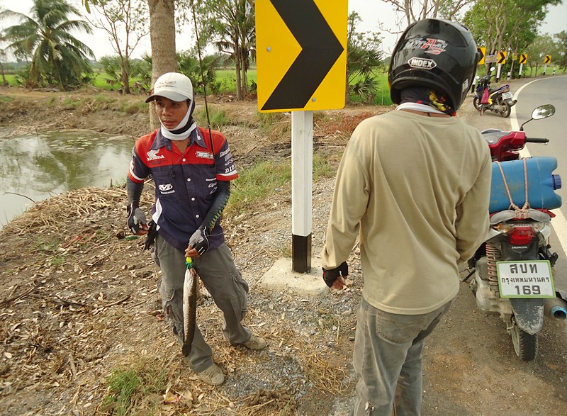 พี่ทุย..รีบปลดเบ็ด กะเอาให้หมด ว่างั้น !!!    :laughing: :laughing: :laughing: