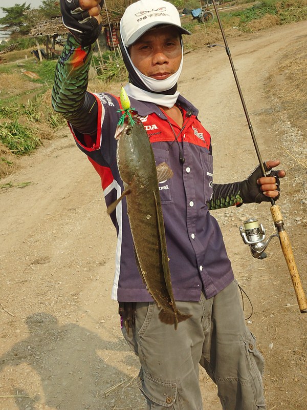 โอ้ว์..จัดมาไว เกิ๊น !!!    :cool: :cool: :cool:

 :cheer: :cheer: :cheer: :cheer: :cheer: :cheer: