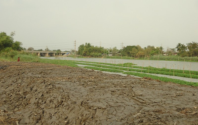 สะพานข้ามแม่น้ำ